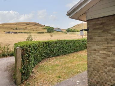 A view of a field with cows on dry grass and a hedge next to a brick building at Woodlands Cottage in Ringstead