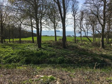 A grassy field with trees in the foreground and ships on a body of water in the background at Woodlands Cottage in Ringstead