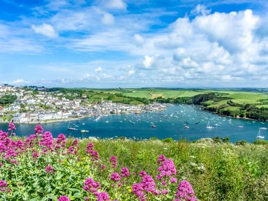 A harbor with boats and a town in the background with flowers and greenery in the foreground at 16 Courtenay Street in Salcombe