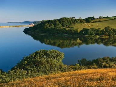 A river with wooded hills and fields with cattle at 1 At The Beach in Torcross