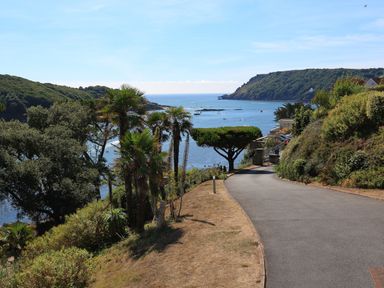A coastal road with trees and bushes overlooking a bay with boats and hills in the distance at 2 Poundstone Court in Salcombe