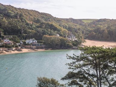 A coastal area with houses near a beach and a forested hillside at 2 Poundstone Court Salcombe