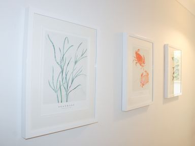 Framed artworks of seaweed and crabs on the wall at 2 Poundstone Court Salcombe