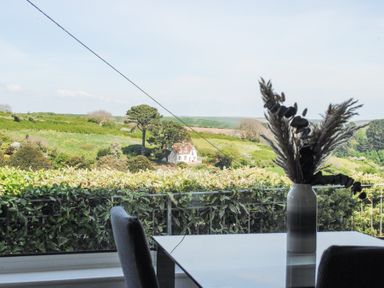 A vase with dried plants on a table by a window overlooking a green landscape with a house in the distance at 2 Rockmount in Salcombe