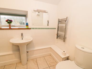 A bathroom with a pedestal sink a mirror a heated towel rack a toilet and a window with flowers and cups on the sill at Y Bwthyn Elidir Fach Mountain near Llanberis