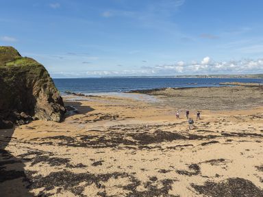 A sandy beach with seaweed a rock formation and people walking near the shoreline at 4 Armada House in Hope Cove