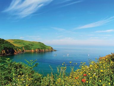 A coastal scene with green hills yellow flowers and boats in the water at 4 Armada House in Hope Cove
