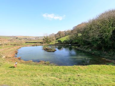 A pond surrounded by grass and trees in a rural area at Cowslip Cottage in Frogmore
