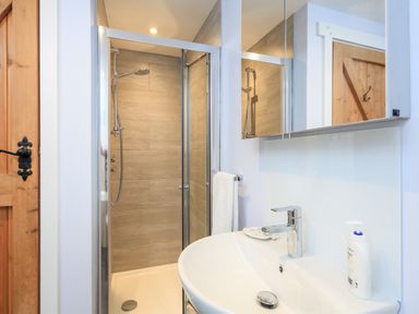 A bathroom with a shower enclosure a sink a mirror and a wooden door at Cowslip Cottage in Frogmore