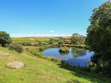 A pond surrounded by grass trees and bushes with fields and blue sky in the background at Cowslip Cottage in Frogmore