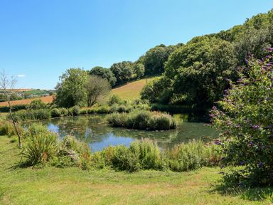 A pond surrounded by grass shrubs and trees under a blue sky at Cowslip Cottage in Frogmore