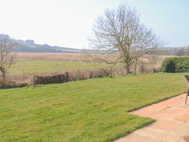 A garden with grass a tree and a paved patio with a chair at Sea Peep in Thurlestone