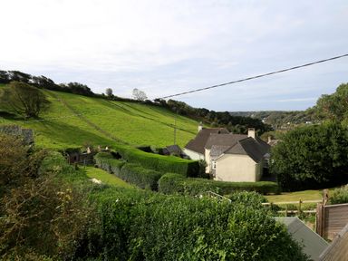 A rural hillside with green fields and houses surrounded by hedges at Bow Cottage in East Portlemouth