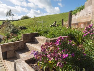 A garden with wooden steps surrounded by purple flowers and green plants by a grassy hillside at Butterwell Barn in Dartmouth