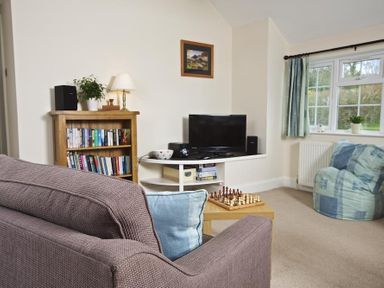 A living room with a sofa a bookshelf a television a chessboard and a bean bag at Cloverwell in Woodleigh