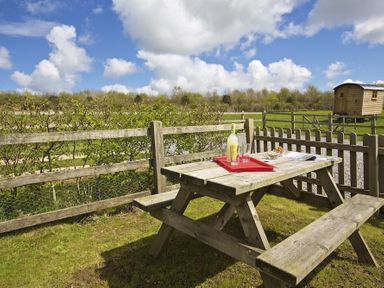 A wooden picnic table with a red tray holding a bottle and glasses in a fenced garden at Cloverwell in Woodleigh