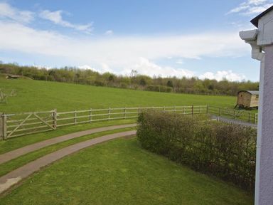 A curved driveway with hedges and a wooden fence bordering a green field at Cloverwell in Woodleigh