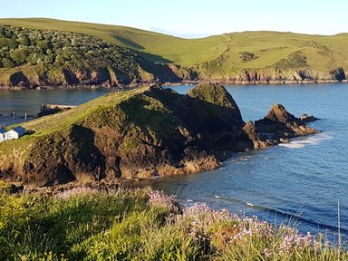 A coastal landscape with rocky cliffs green hills and a small white building near the shore at Cottage View in Hope Cove