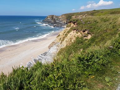 A coastal cliff with grass and shrubs overlooking a sandy beach and ocean at Cottage View in Hope Cove