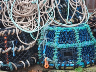 A pile of lobster pots with ropes on a dock at Cottage View in Hope Cove