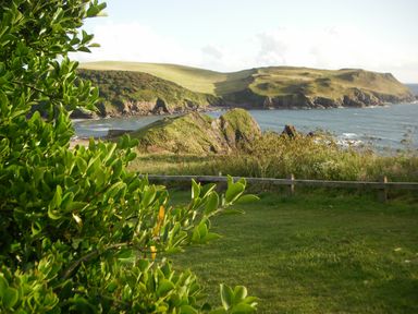 A coastal landscape with green bushes a wooden fence and rocky hills by the sea at Cottage View in Hope Cove