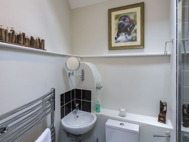 A bathroom with a small sink black tiled backsplash toilet heated towel rail wall-mounted round mirror and framed bird picture at Gooder House in Dartmouth