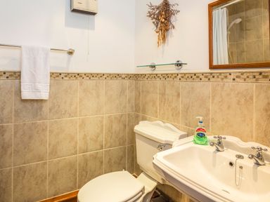 A bathroom with a toilet sink and towel on a rail at The Granary (Malborough) in Malborough