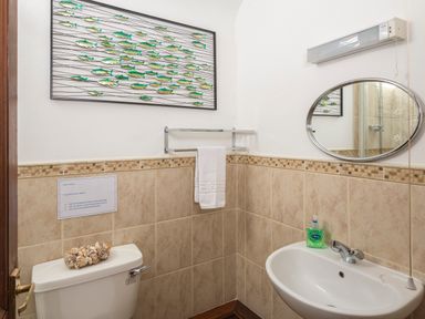 A bathroom with a toilet a sink an oval mirror a towel rail and fish wall art at The Granary Malborough