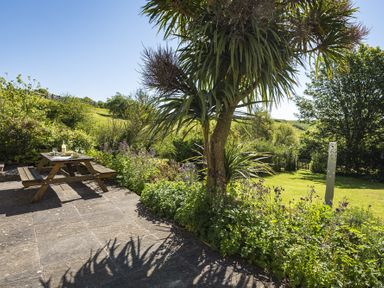 A garden patio with a wooden picnic table and plants surrounding a tree at Hazel Cottage in Malborough