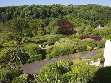 A garden with shrubs and trees next to a driveway at The Hoot 16 St Elmo Court in Salcombe
