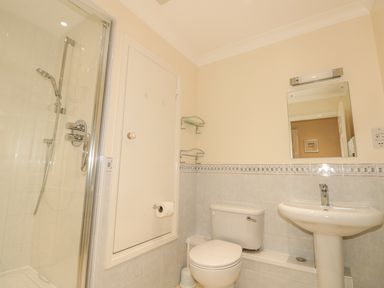 A bathroom with a toilet a pedestal sink a mirror a shower and a door with shelves at The Hoot 16 St Elmo Court in Salcombe