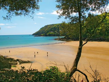 A sandy beach with people walking near the shoreline surrounded by trees and hills at Jot Cottage in Salcombe