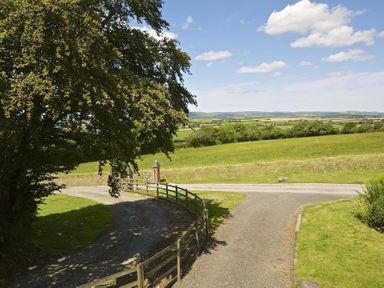 A countryside view with a gravel driveway, wooden fence, large tree, and green fields at Meadow View in Modbury
