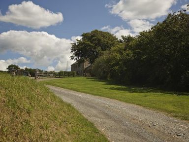 A gravel driveway leading to a stone building with a wooden fence and trees around in Meadow View Modbury