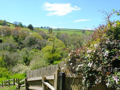 A wooden fence with flowering plants and green fields with trees under a blue sky at Orchard Barn in Salcombe