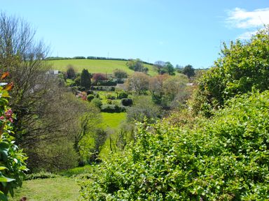 A green garden with bushes and trees overlooking a grassy hillside at Orchard Barn in Salcombe
