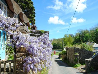 A thatched stone cottage with purple flowers by a narrow road and green trees in the background at Orchard Barn in Salcombe