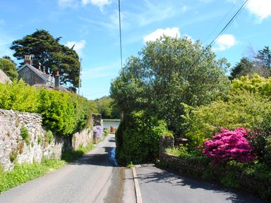 A narrow road lined with stone walls and green bushes leading to water with houses and trees nearby at Orchard Barn in Salcombe