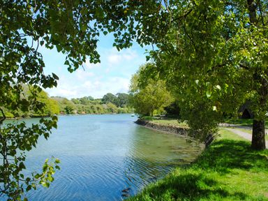 A river with a grassy bank and trees along a path at Orchard Barn in Salcombe
