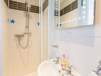 A shower area with a handheld showerhead and a sink with two taps and liquid soap at Rock Point in Salcombe