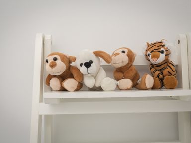 Four stuffed animals including two monkeys a dog and a tiger on a white shelf at Seaspray Bigbury-on-Sea