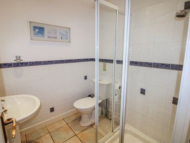 A bathroom with a shower and toilet at The Station in Bolberry