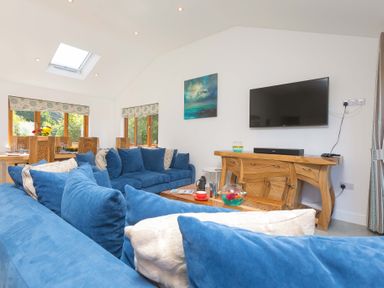 A living room with a television and sofa at Mellydonen Beder Del (Melly), Tor Down Quarry, St Breward
