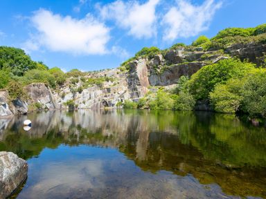A natural quarry landscape with water and vegetation at Mellydonen Beder Del (Melly), Tor Down Quarry St Breward