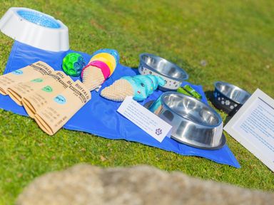 Dog bowls and toys on a blue blanket in a grassy area at Mellydonen Beder Del (Melly), Tor Down Quarry St Breward