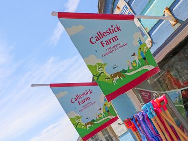 Flags for Callestick Farm Champion Cornish Ice Cream outside a shop with colorful beach toys