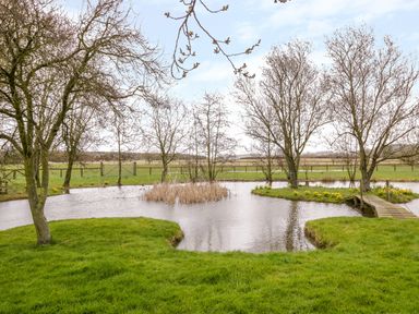 A small pond with grass and trees and a wooden bridge over the water at Wigrams Canalside Cottage in Napton-on-the-Hill