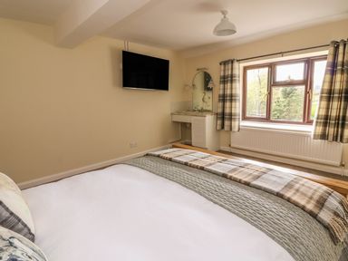 A bedroom with a bed a wall-mounted television a window with curtains and a small sink with a mirror at Treboeth in Knighton