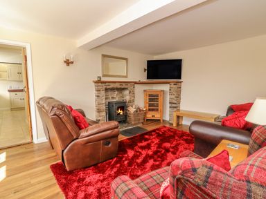 A living room with leather sofas and a plaid armchair around a stone fireplace with a wood burning stove and a red rug at Treboeth in Knighton