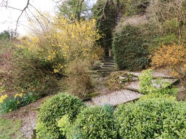 A garden with various shrubs trees and stone steps surrounded by greenery at Treboeth in Knighton